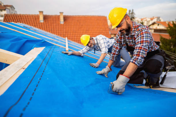 Gutter Installation and Roofing in Start, LA